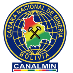 canalminbolivia.org